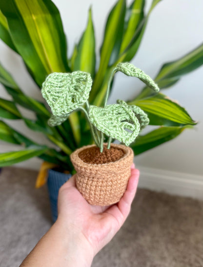house plant crochet pattern Mini House Plant Collection Crochet Pattern